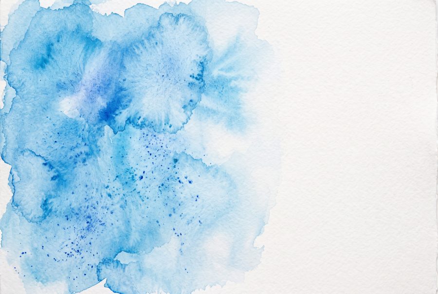 Blue watercolor wash background with natural blooms on white paper