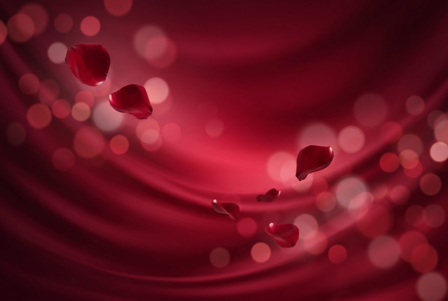 Elegant deep red silk gradient background with floating rose petals