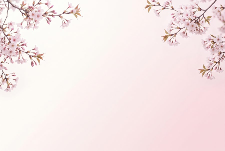 Cherry blossom branches framing pale pink gradient, spring business background